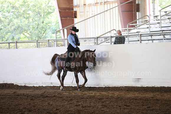 MLMH_2018_5016