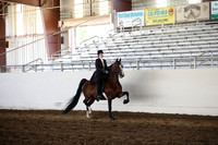 MLMH_2018_5160