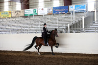 MLMH_2018_5162