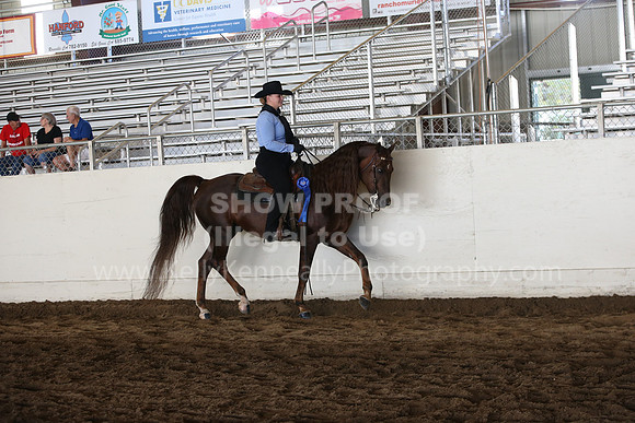 MLMH_2018_5024