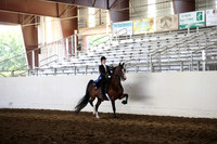 MLMH_2018_5169