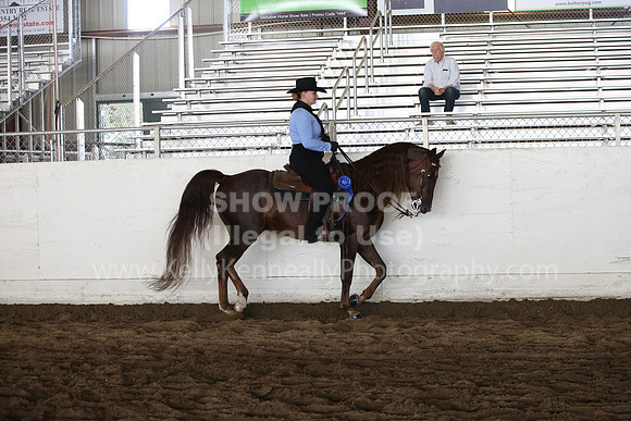 MLMH_2018_5026