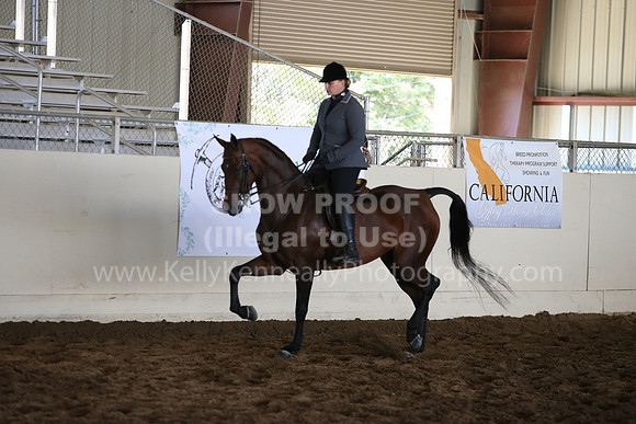 MLMH_2018_5183