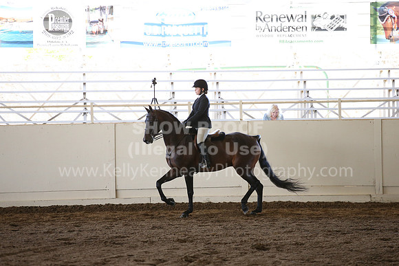 MLMH_2018_5204