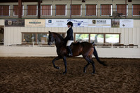 MLMH_2018_5207