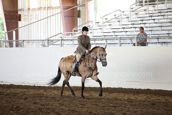 MLMH_2018_5193