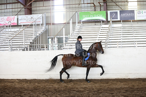MLMH_2018_5202
