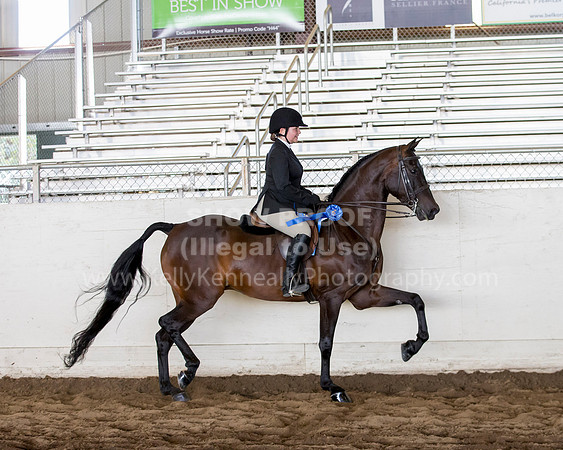 MLMH_2018_5217