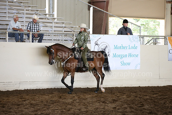 MLMH_2018_5270