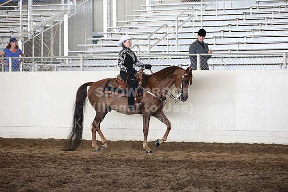 MLMH_2018_5275