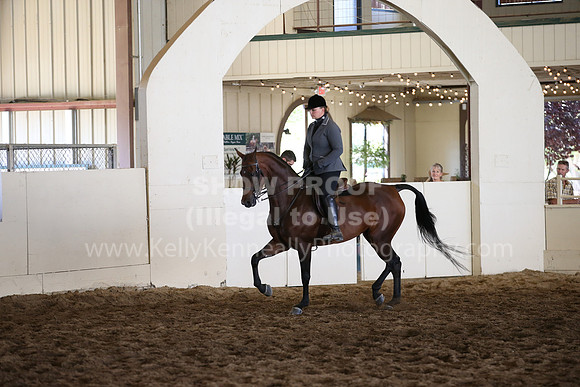 MLMH_2018_5369