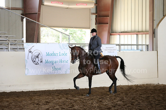 MLMH_2018_5370