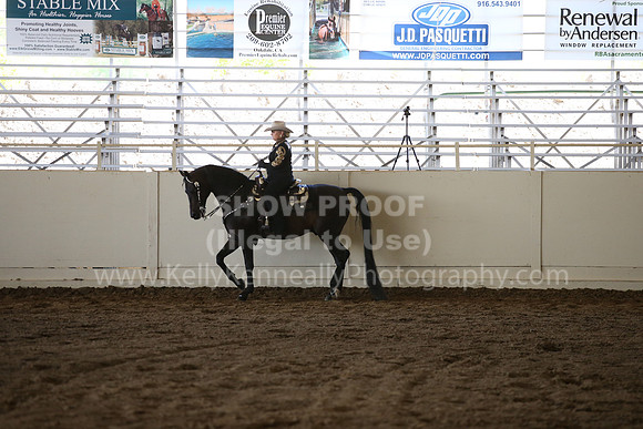 MLMH_2018_5523