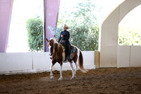MLMH_2018_5604