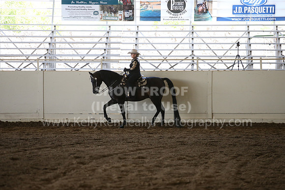 MLMH_2018_5524
