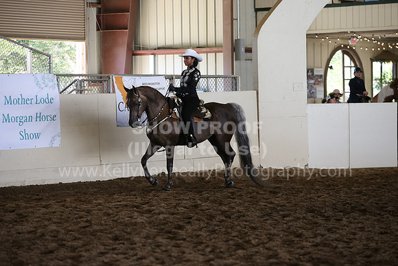 MLMH_2018_5525