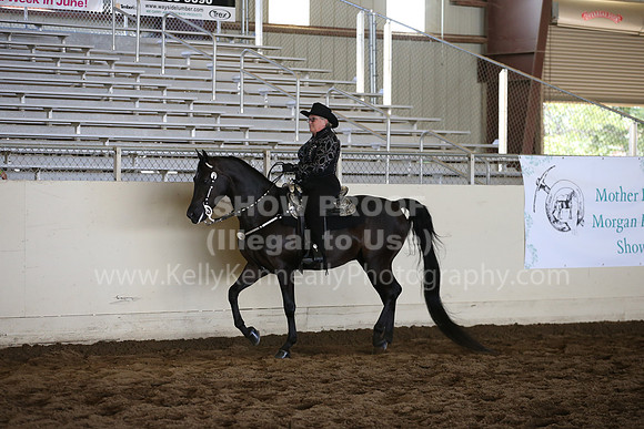 MLMH_2018_5534