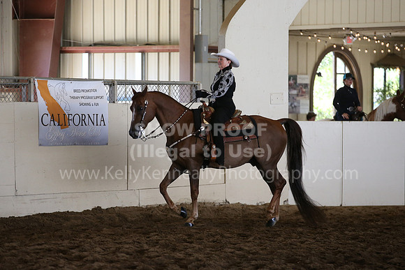 MLMH_2018_5537