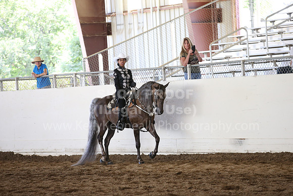 MLMH_2018_5568
