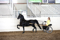 MLMH_2018_5627