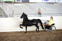 Class 111 Morgan Pl Driving Amateur