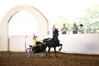 MLMH_2018_5652
