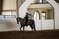 MLMH_2018_5717