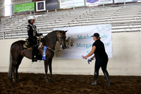 MLMH_2018_5754