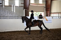 MLMH_2018_5760