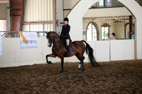 MLMH_2018_5798