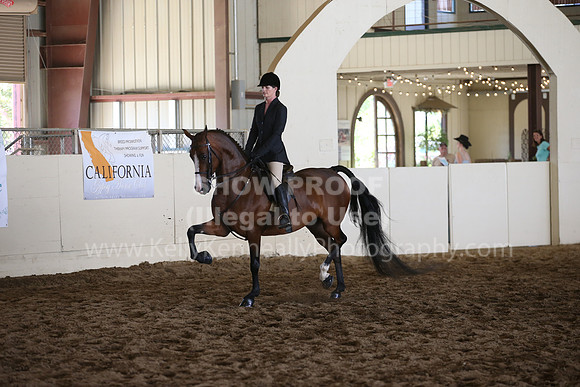 MLMH_2018_5798