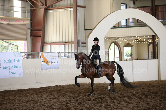 MLMH_2018_5811