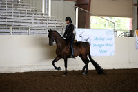 MLMH_2018_5871