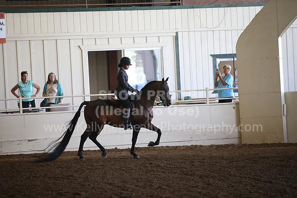 MLMH_2018_5875
