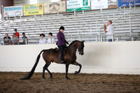 MLMH_2018_5833