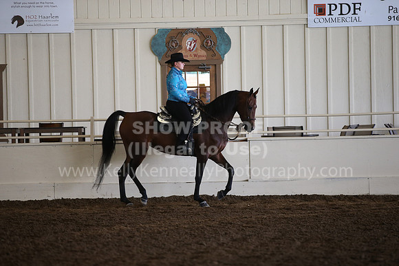 MLMH_2018_5900