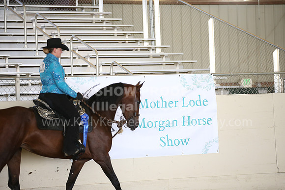 MLMH_2018_5908