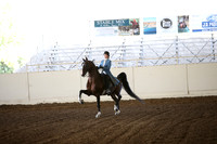 MLMH_2018_5911
