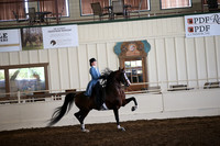 MLMH_2018_5928