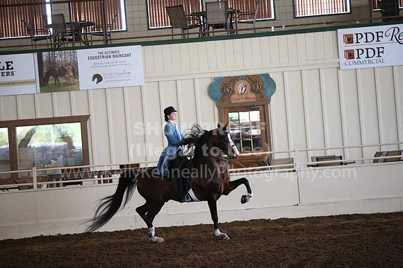 MLMH_2018_5928