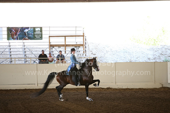 MLMH_2018_5932