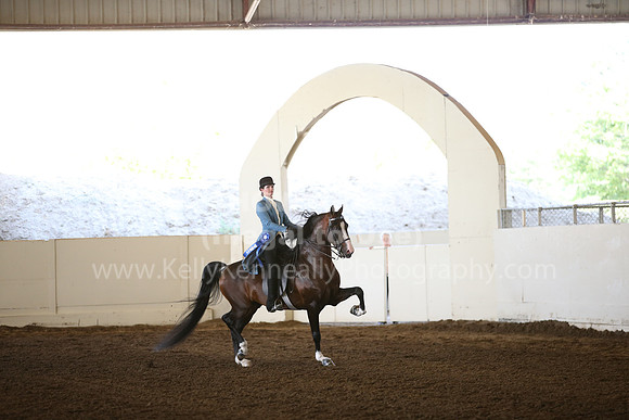 MLMH_2018_5933