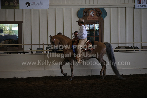 MLMH_2018_6001