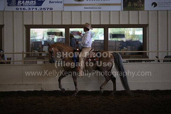 MLMH_2018_6003