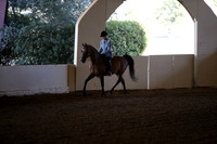 Class 197 Morgan Hunter Pl Amateur Masters