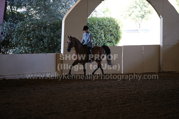 MLMH_2018_6005