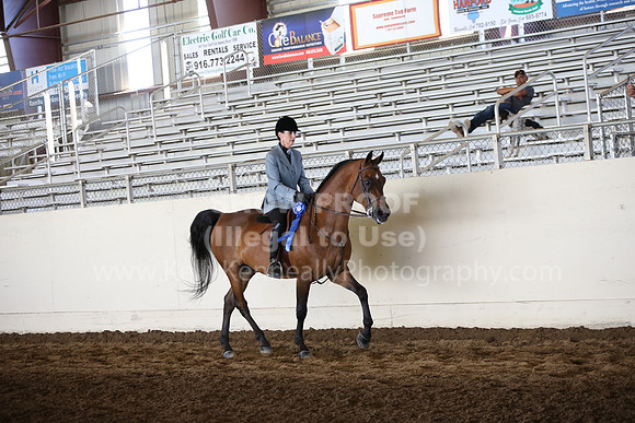 MLMH_2018_6019