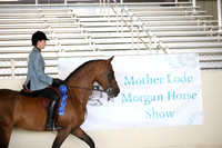 MLMH_2018_6024