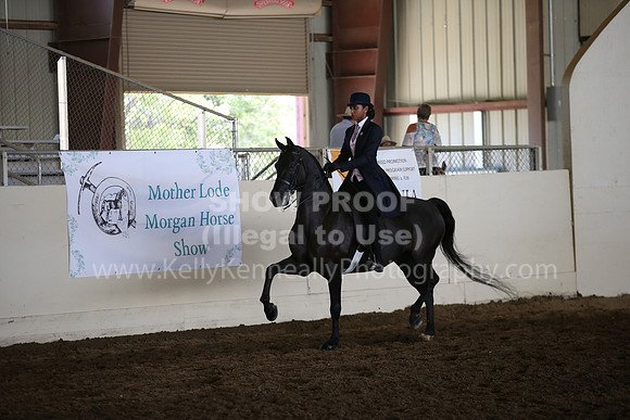 MLMH_2018_6086
