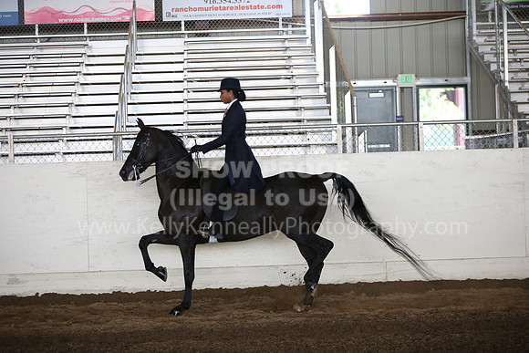 MLMH_2018_6091
